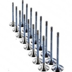 Клапан Mitsubishi Canter 3.0 4M42 вип+впуск к-т 16шт