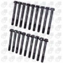 Болт головки блока Nissan TD23, TD25, TD27, BD30 комплект 18шт